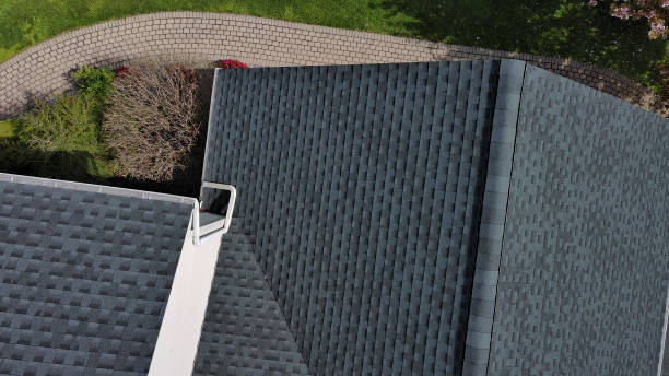 Best Roof Moss and Algae Removal  in Berry Hill, TN